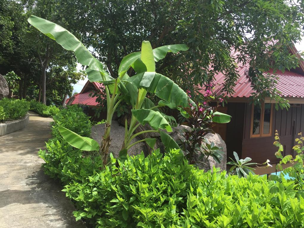 Aow Leuk Grand Hill Koh Tao Exteriör bild